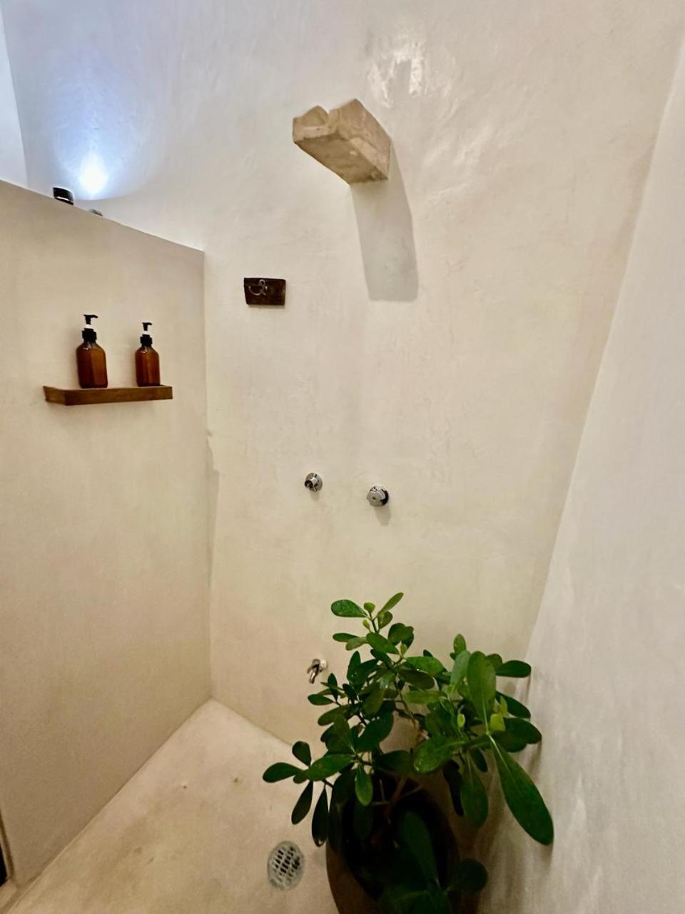 Casa Silice Guesthouse Valladolid  Exteriér fotografie